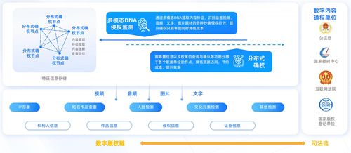 数信共生 数字科技重塑零售创新应用洞察